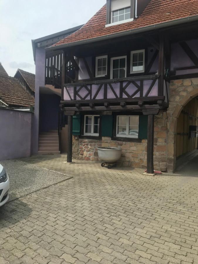 Gite Plain-Pied Avec Jardin Du Centre Alsace Ebersheim Exterior photo